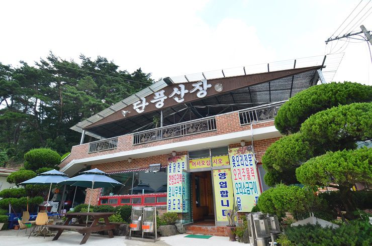 단풍산장 입구