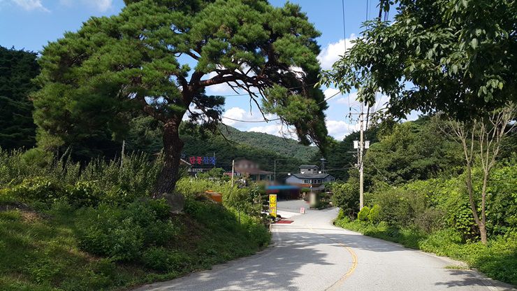 단풍산장 초입